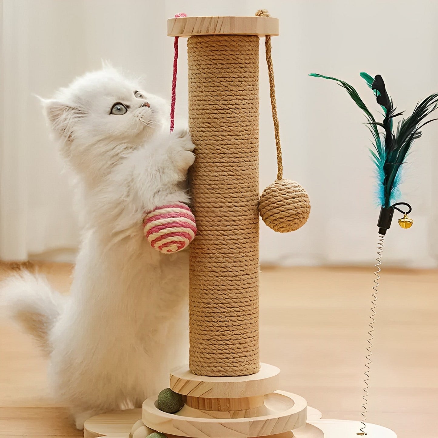 Cat Scratching Post