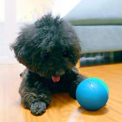 Magic Ball Pet Motion Toy