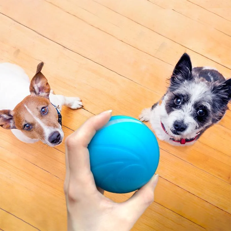 Magic Ball Pet Motion Toy