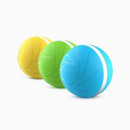 Magic Ball Pet Motion Toy